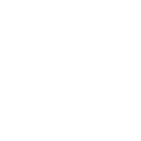 mjoll-cinesys copy